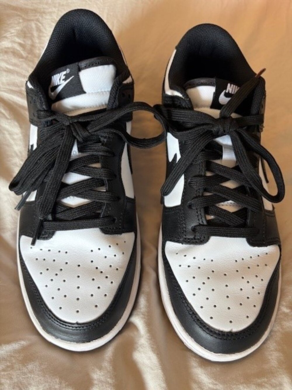 Nike Dunk Low